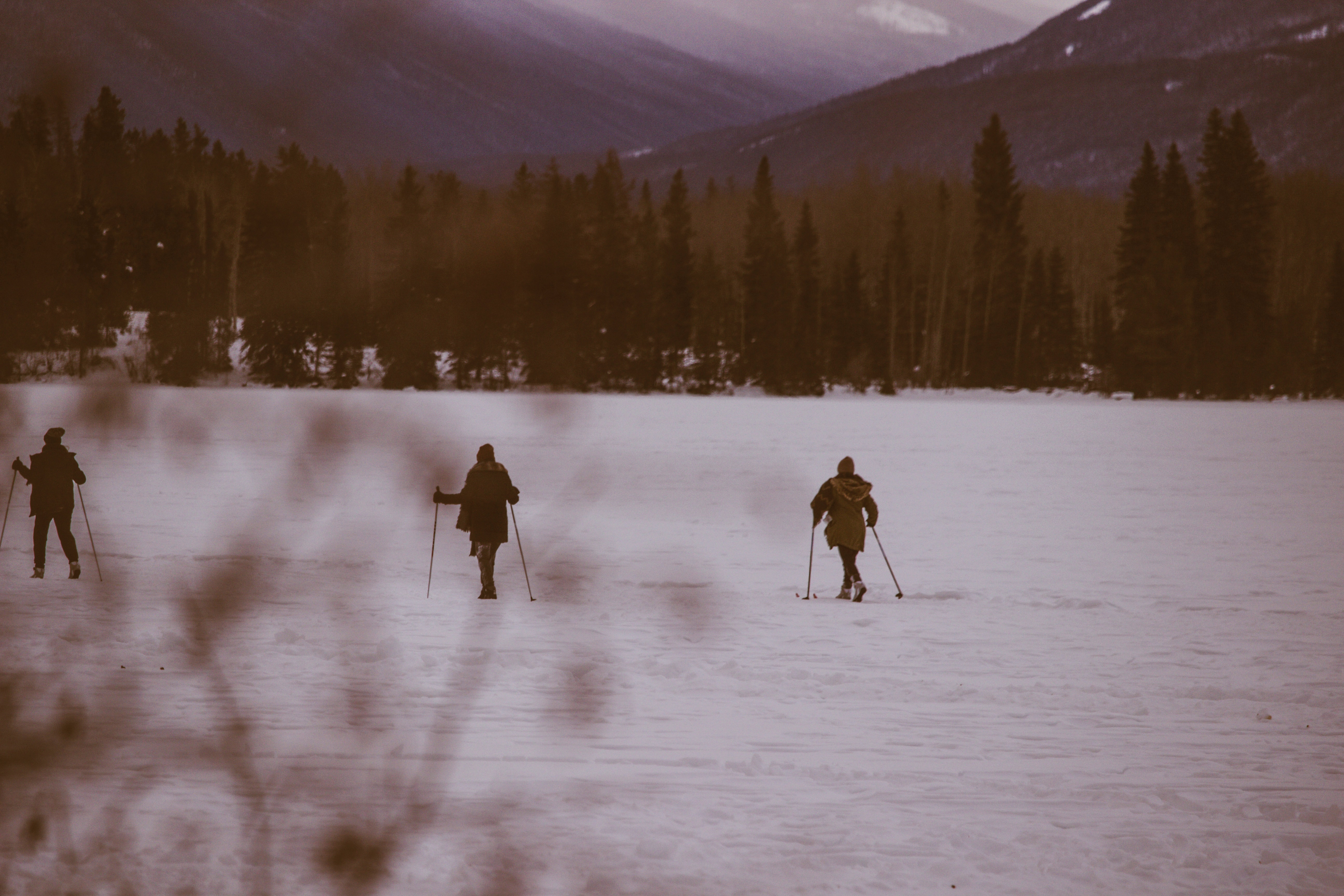 Photo of three people skiing on a frozen plain